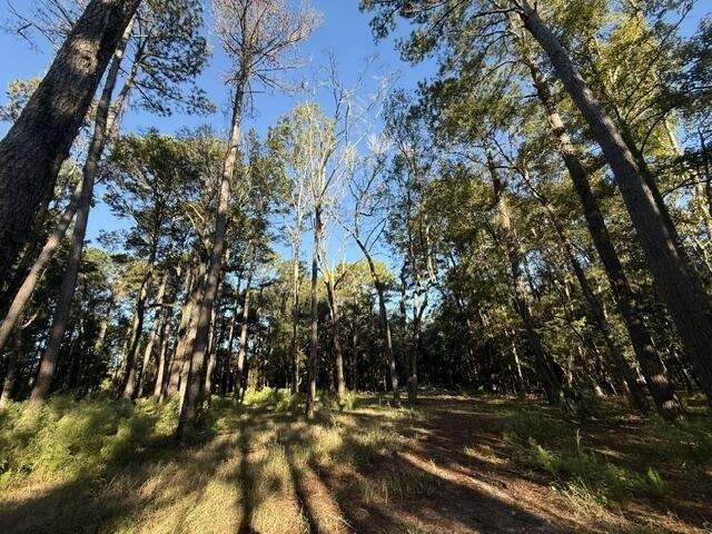 Land for sale in Johns Island, Charleston