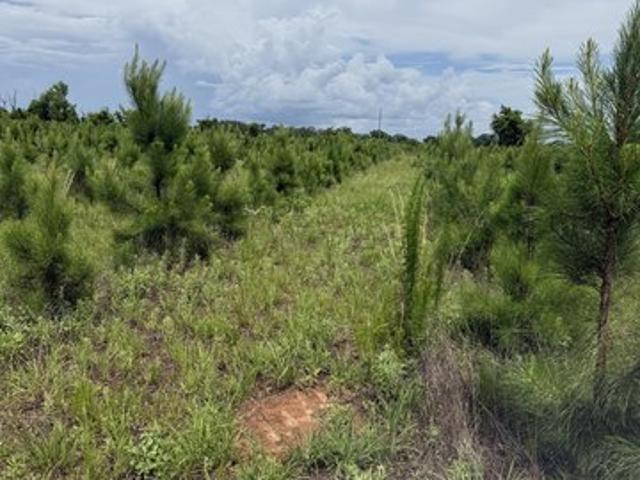 Land for sale in Stewart, Georgia
