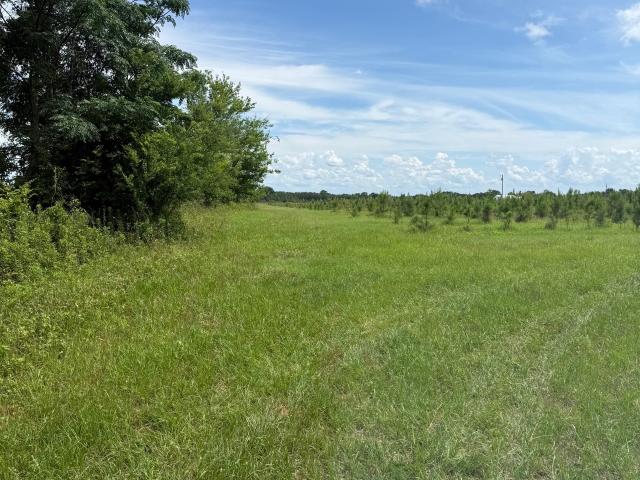 Land for sale in Stewart, Georgia