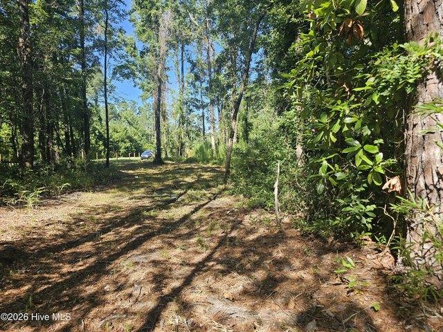 Land for sale in Burgaw, North Carolina
