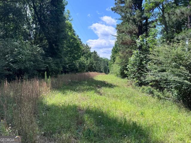 Land for sale in Upson, Georgia