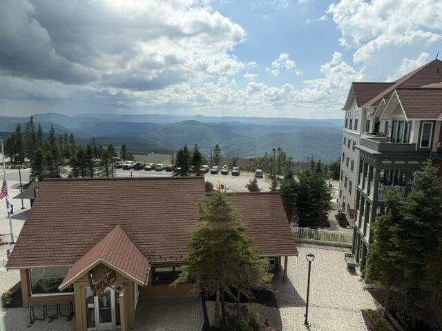Condo for sale in Snowshoe, West Virginia