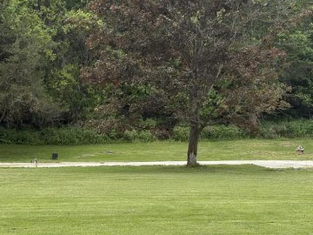 Land for sale in Catskill, New York