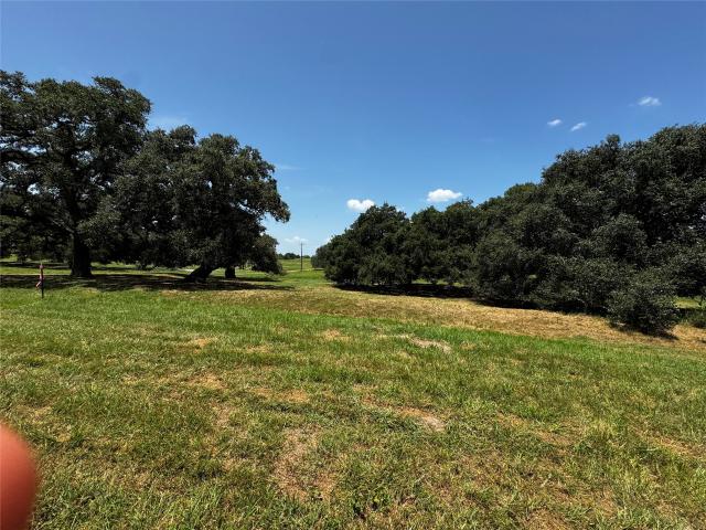Land for sale in Flatonia, Texas