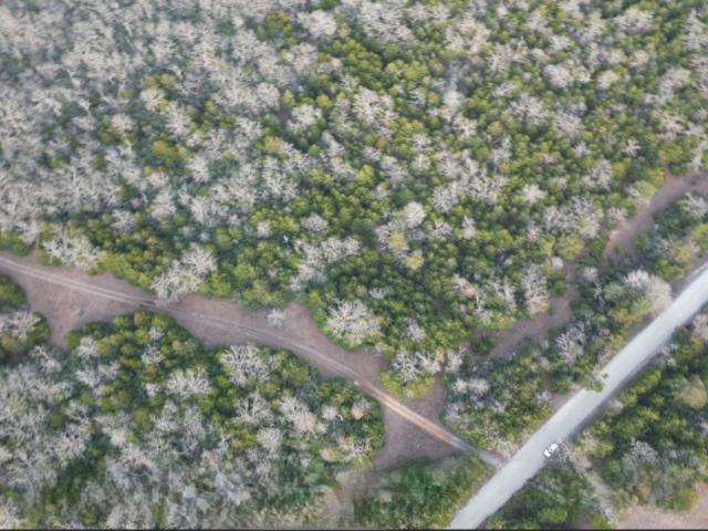 Land for sale in Leon, Texas
