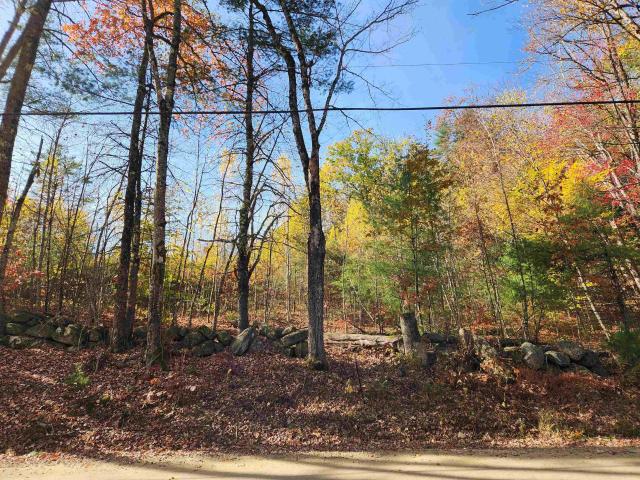 Land for sale in New Hampshire