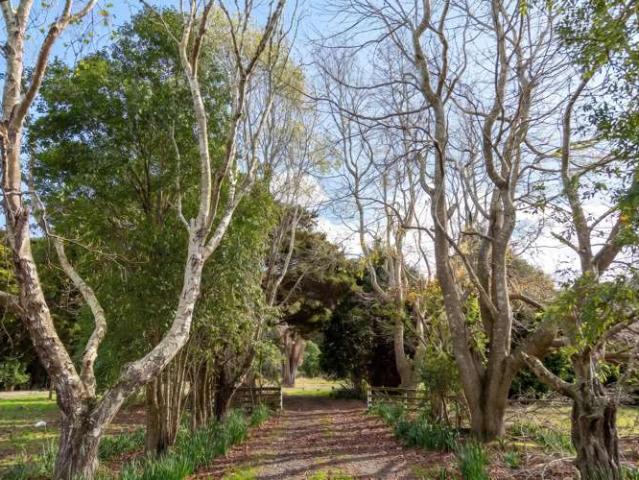 Property for sale in Opaki, Wellington