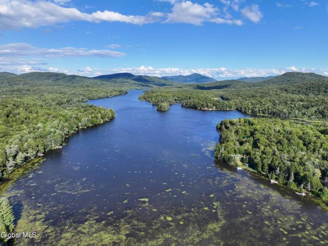 Land for sale in Town of Minerva, Essex County