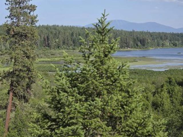 Land for sale in Deer Park, Washington
