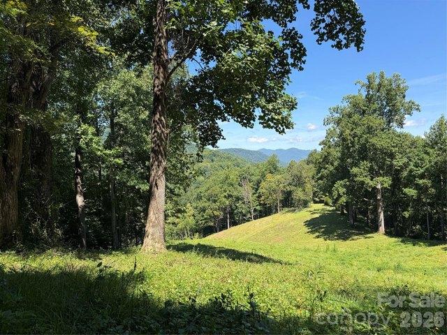 Land for sale in Yancey, North Carolina