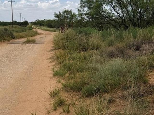Farm for sale in Colorado City, Texas