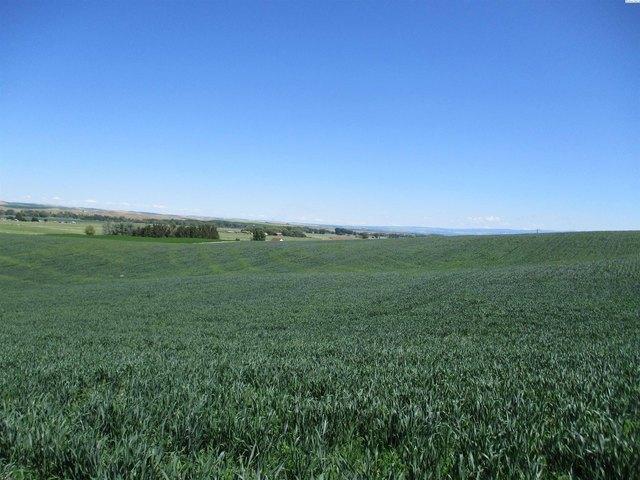 Farm for sale in Touchet, Washington