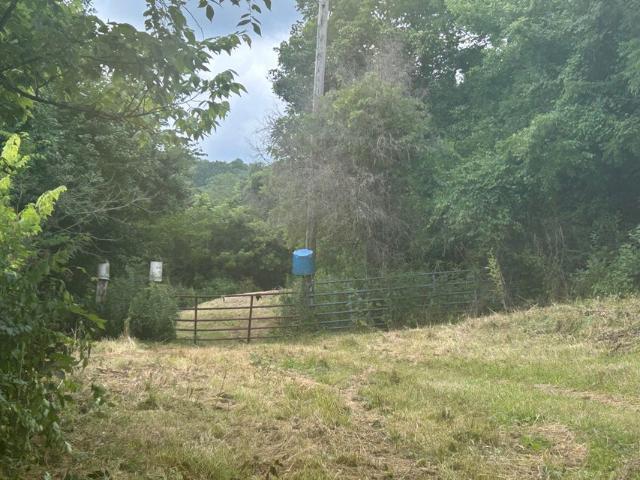 Land for sale in Worthville, Kentucky