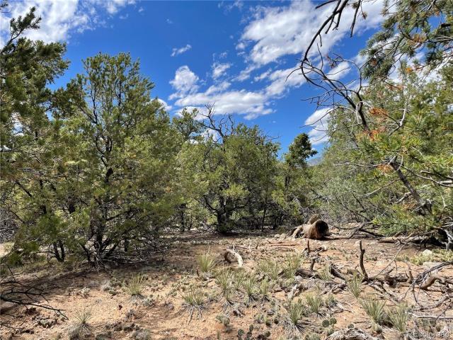 Land for sale in Crestone, Colorado