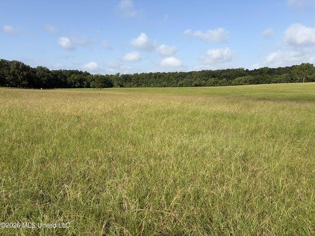 Land for sale in Canton, Mississippi