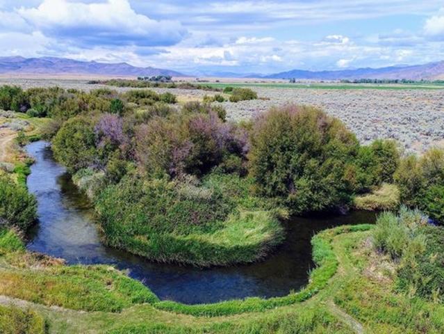 Farm for sale in Picabo, Idaho
