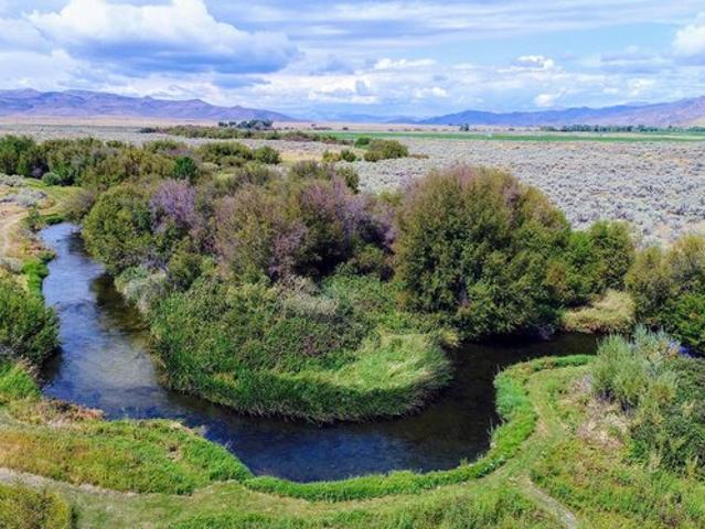 Farm for sale in Picabo, Idaho