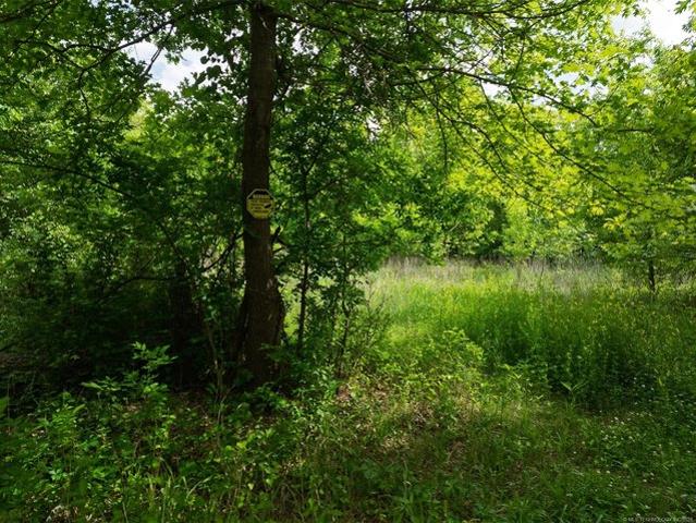 Land for sale in Skiatook, Oklahoma
