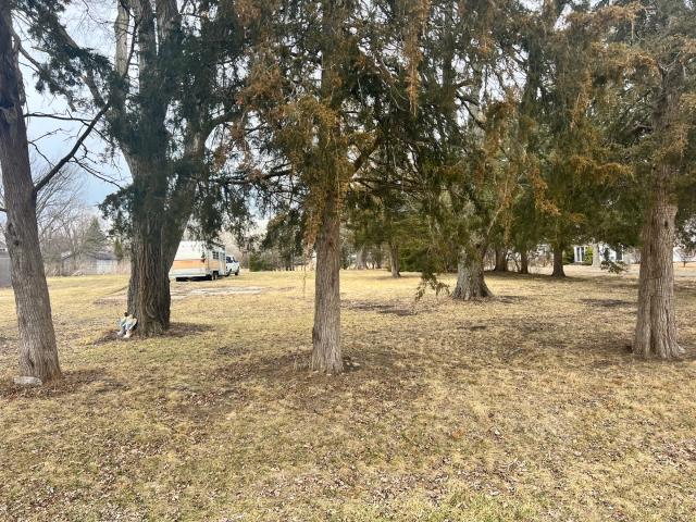 Land for sale in Vermilion, Illinois