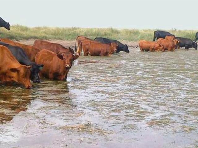 Farm for sale in Lejweleputswa, Free State