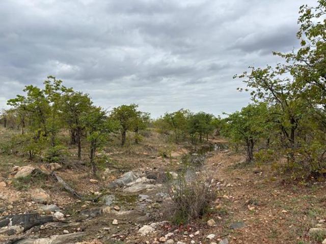 Farm for sale in Ehlanzeni, Mpumalanga