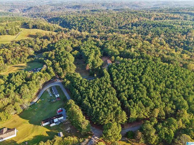 House for sale in Springville, Blount County