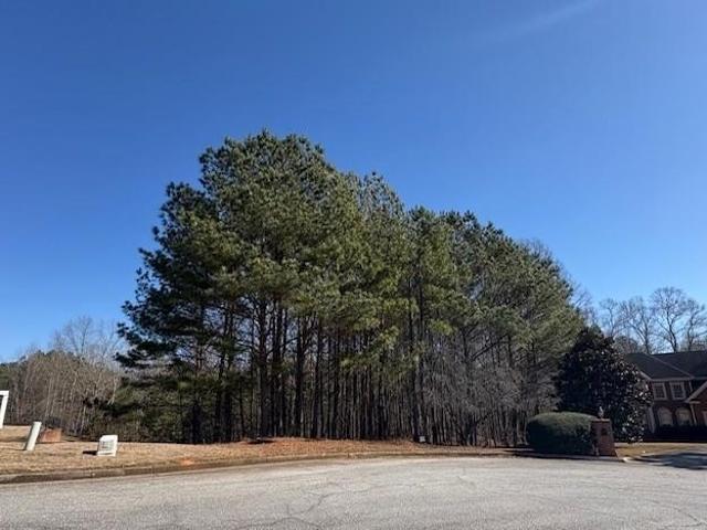 Land for sale in Douglasville, Douglas County