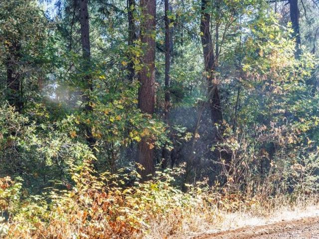 Land for sale in Camino, California