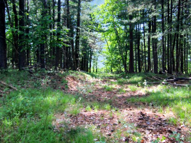 Land for sale in Nisswa, Minnesota