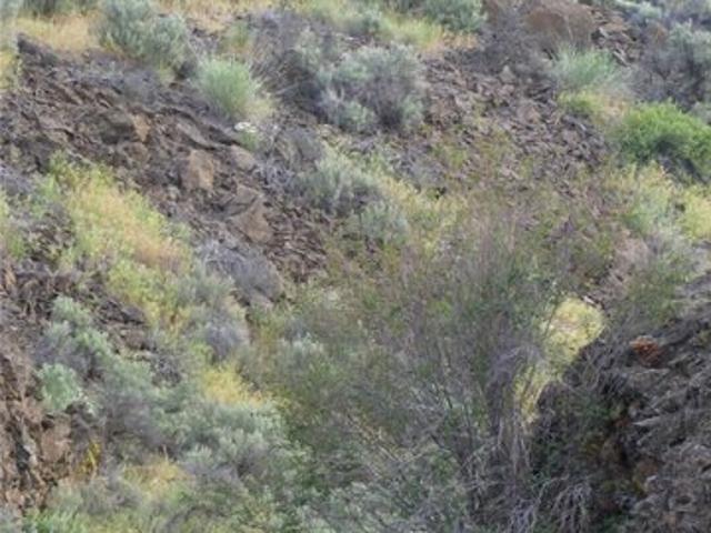 Land for sale in Ephrata, Grant County