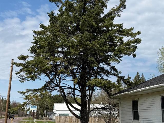 House for sale in Houghton, Michigan