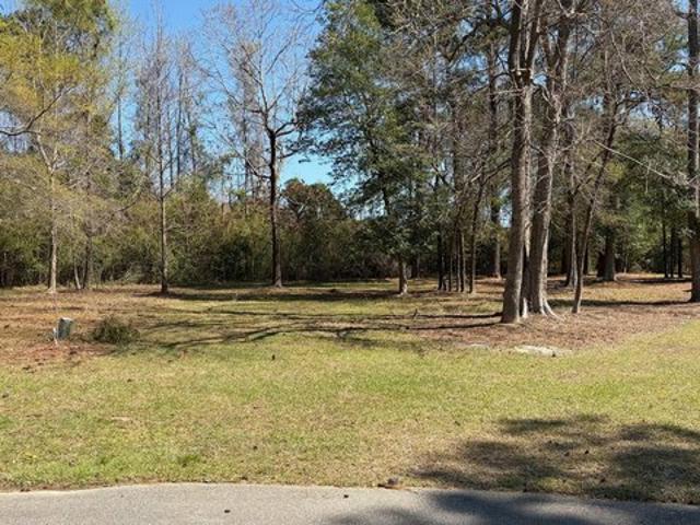 Land for sale in Castle Hayne, North Carolina