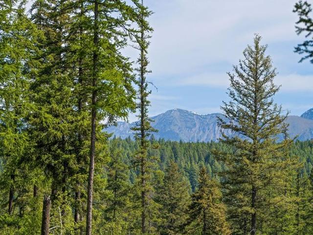 Land for sale in Bigfork, Montana