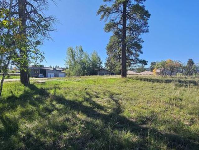Land for sale in Pagosa Springs, Archuleta County