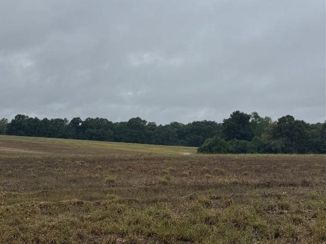 Land for sale in Geneva, Alabama