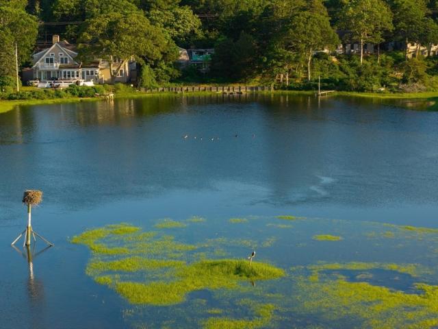House for sale in South Yarmouth, Massachusetts