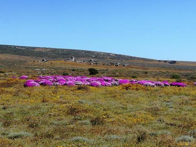 Land for sale in Western Cape