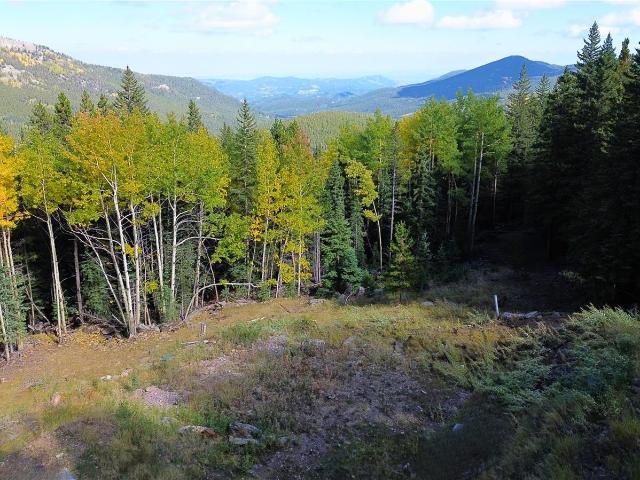 Land for sale in Blue Valley, Idaho Springs
