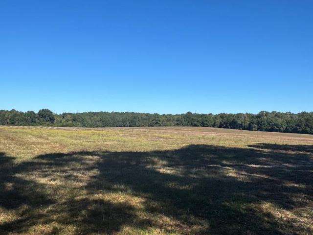 Land for sale in Geneva, Alabama