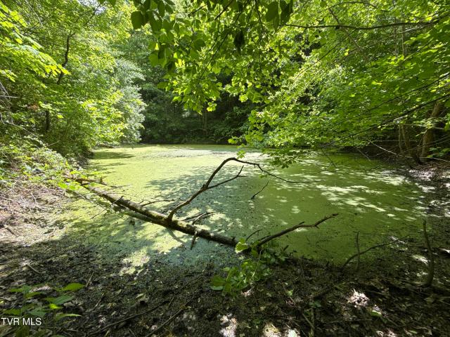 Land for sale in Tennessee