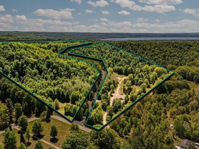 Land for sale in Alden, Michigan