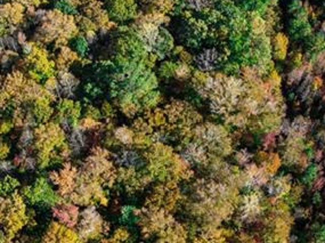 Land for sale in Highgate, Surry