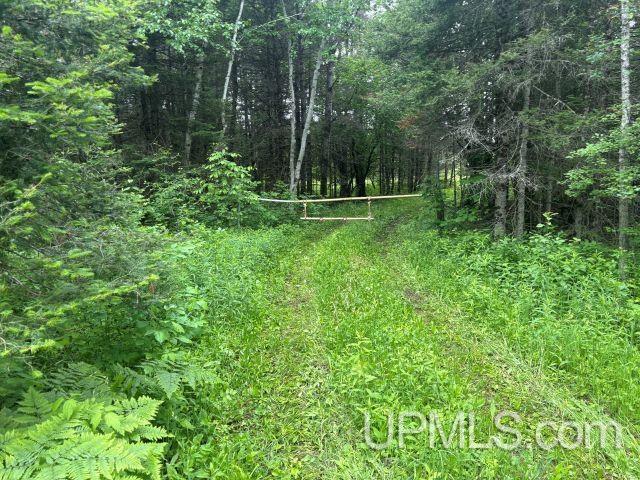 House for sale in Michigan