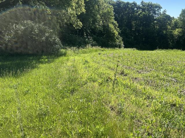 Land for sale in Wisconsin