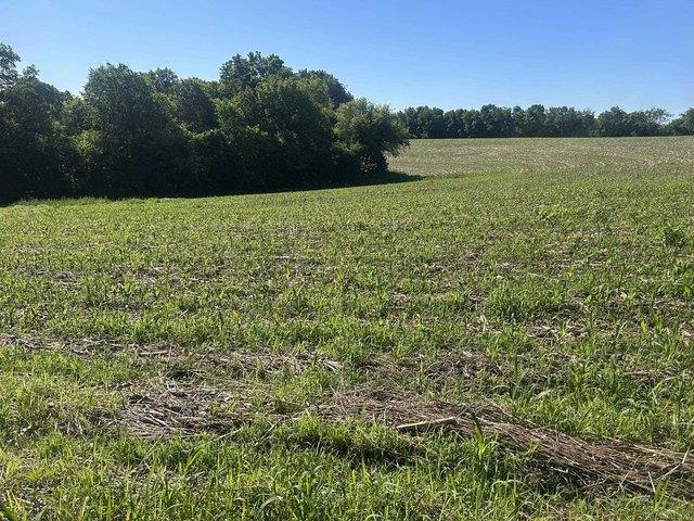 Land for sale in Soldiers Grove, Wisconsin