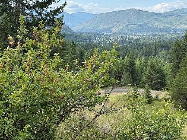 Land for sale in Louis Creek, British Columbia