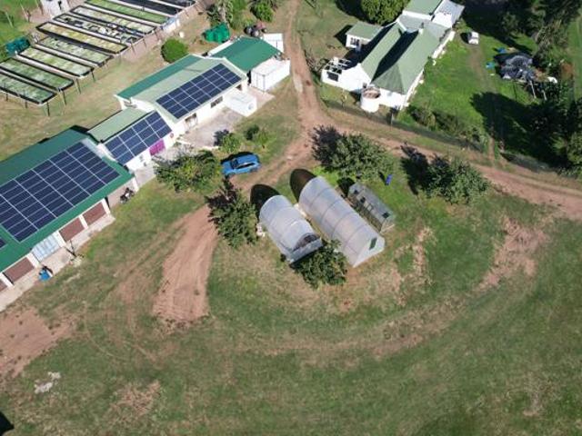 Farm for sale