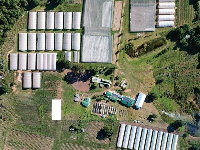 Farm for sale