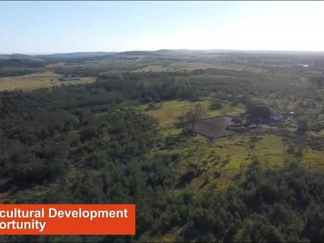 Land for sale in Eastern Cape