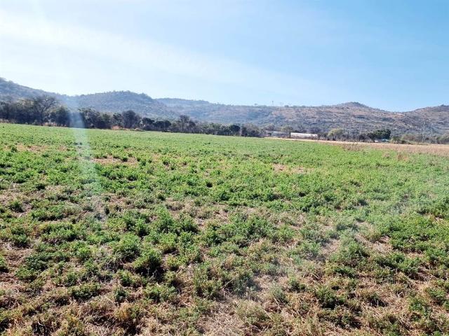 Farm for sale in Centurion, Gauteng